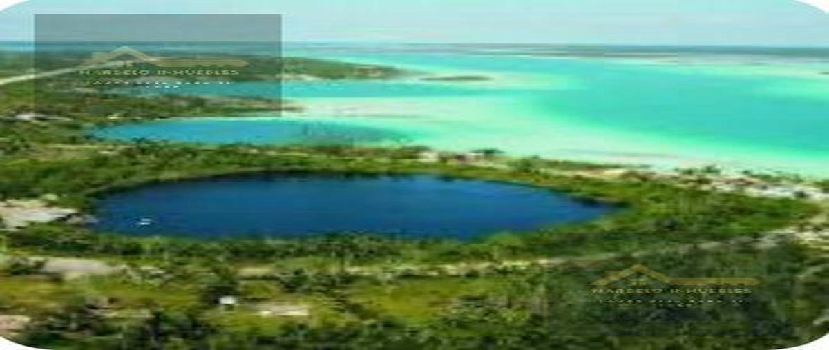 Foto de terreno habitacional en venta en  , aarón merino [colonia], bacalar, quintana roo, 30855027 No. 04